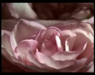 Henryk Mikolaj Gorecki-Lento e largo—Tranquillissimo