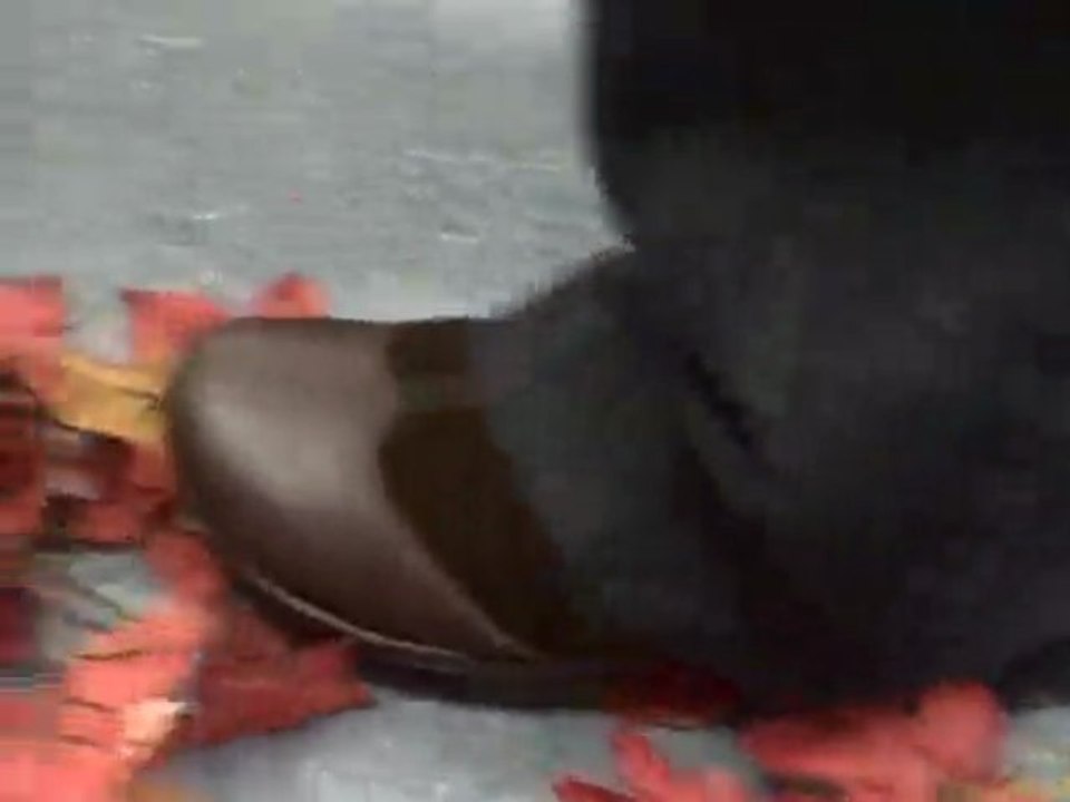 video 11 13 09