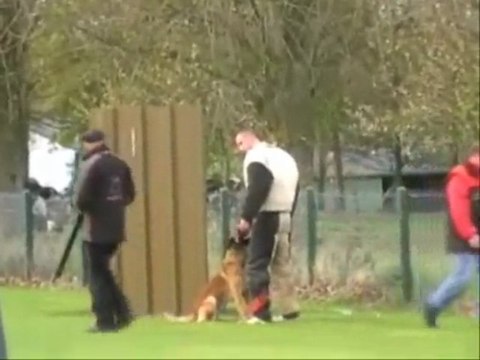 Ugot, concour londiniere 2009