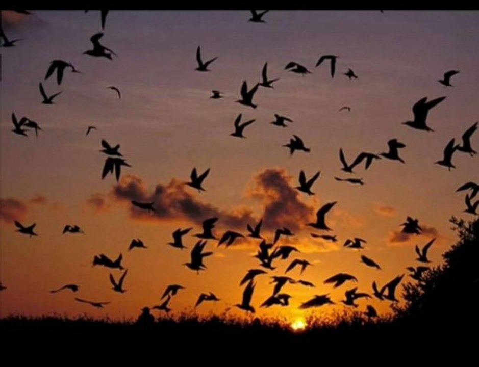 Yasemin Göksu - Olamam Kimseyle -