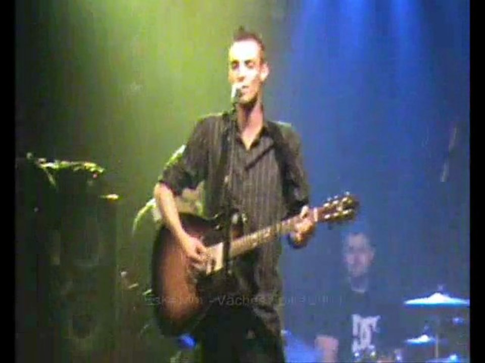 Green Spandex - EsKeMm - Vaches Folks 2009