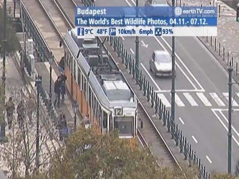 Brussels - Belgium, Ekaterinburg - Russia, Dresden - Germany, Dubai - United Arab Emirates, Budapest - Hungary, Palma de Mallorca - Spain, Agadir - Morocco