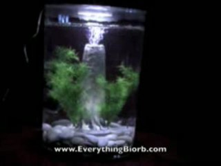 Biorb White Feng Shui Pebbles in Biube Pure