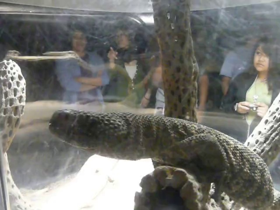 CALIFORNIA ACADEMY OF SCIENCES