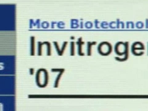Invitrogen - CEO - What Shareholders Should Know