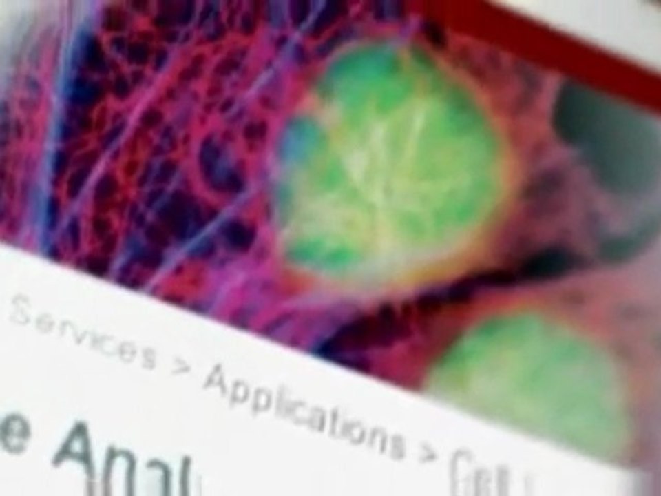 Invitrogen - CEO - 2007 Highlights