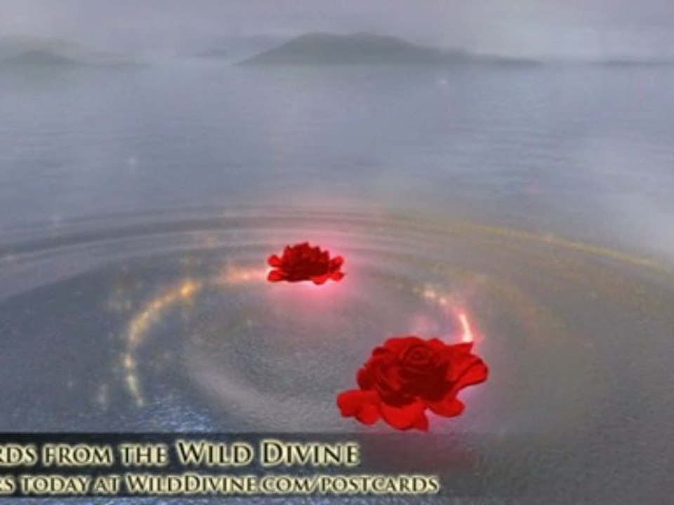 Inner Balance with Dean Ornish