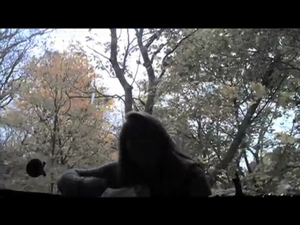 [pollifax] Anna Zailik "No Name #2"