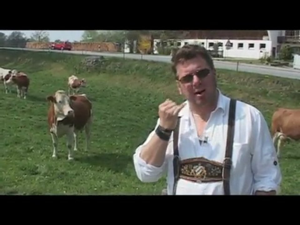 Wildbach-Toni "Dorad"