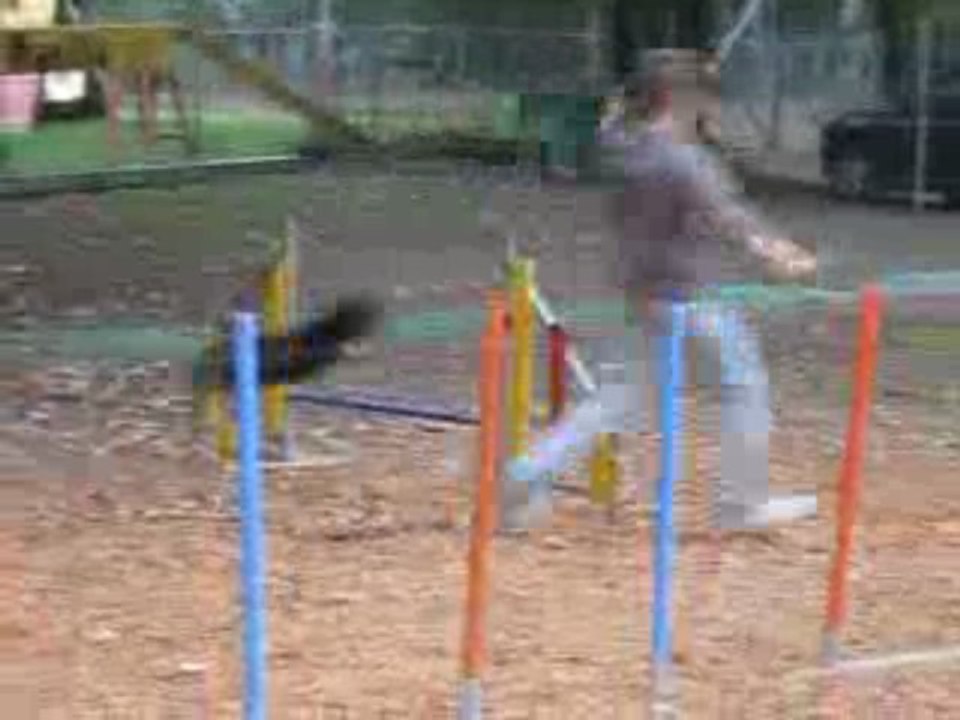 caïd agility automne 2009