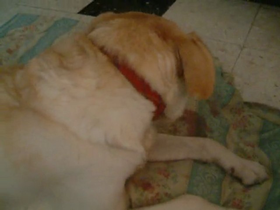 Mon bébé & ses bébés