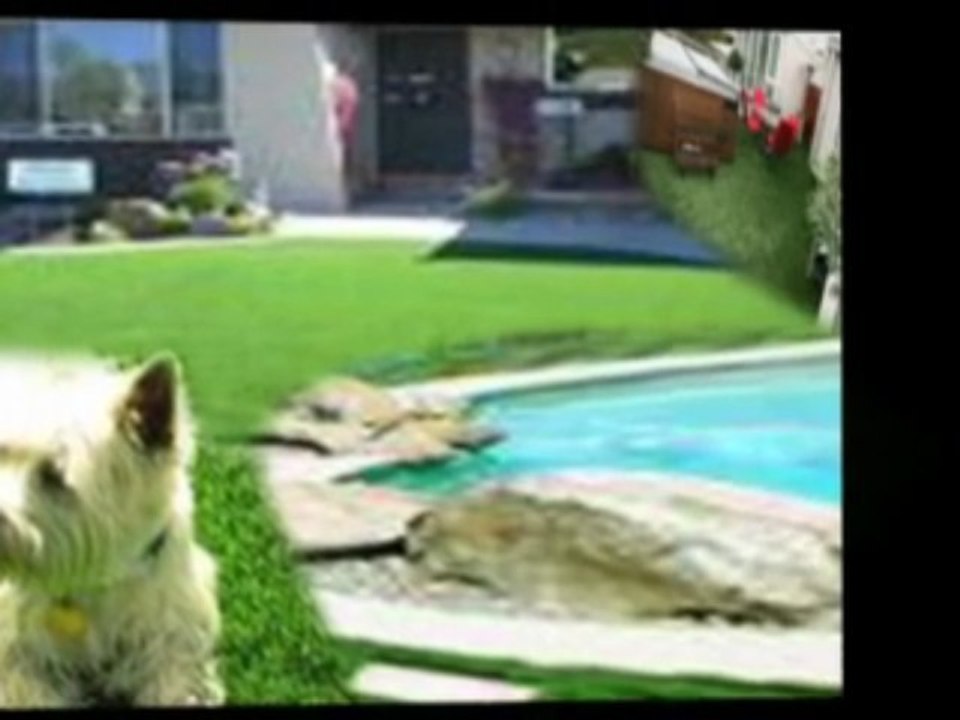 artificial grass suppliers