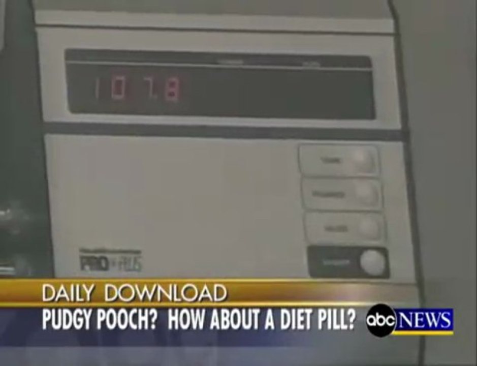 NEWS - Doggy Diet Pills