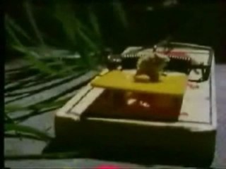 HygiaPure, le rat un rongeur agile