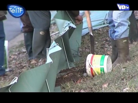 Crapauduc : Sauvons les grenouilles du Hameau de Baillon !