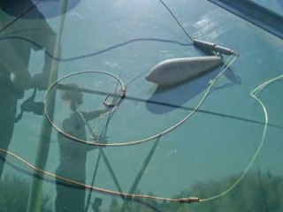 PECHE à la CARPE par Rohnleen (part 2)