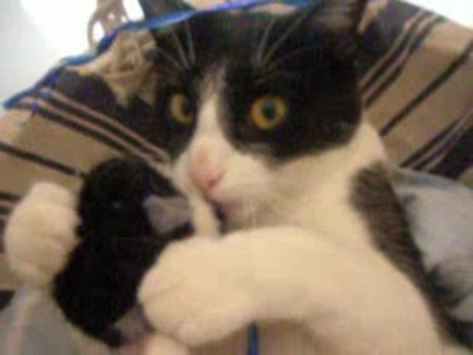 quel regard !