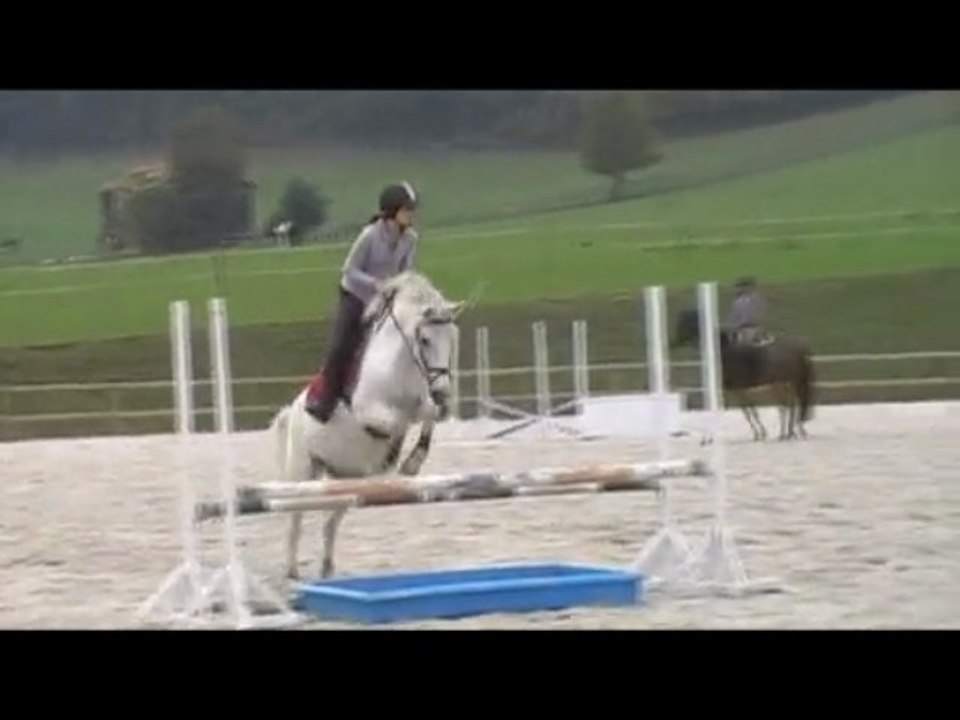 Cynthia en reprise CSO