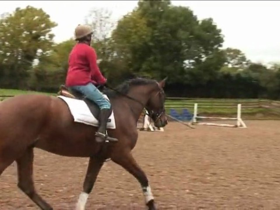 Louise Skelton starts Sam's jumping career  (TRAILER)