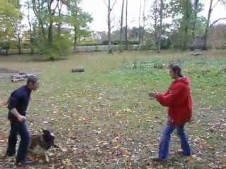 Entrainement chien de Police