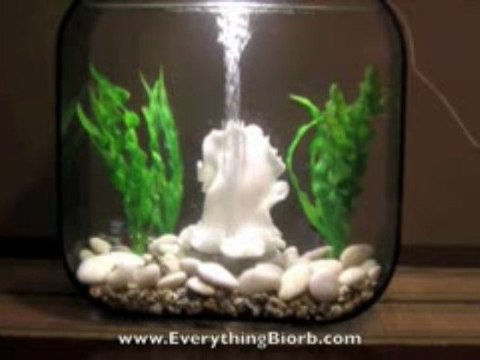 Biorb Spanish Dancer Sculpture - Detailed Views