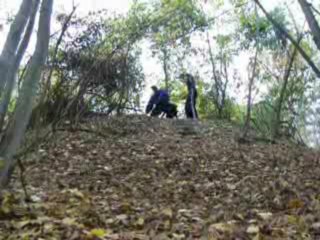 attaque de face chien de Police.