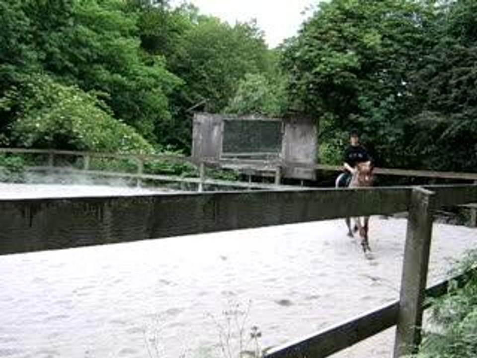 San et Saumon