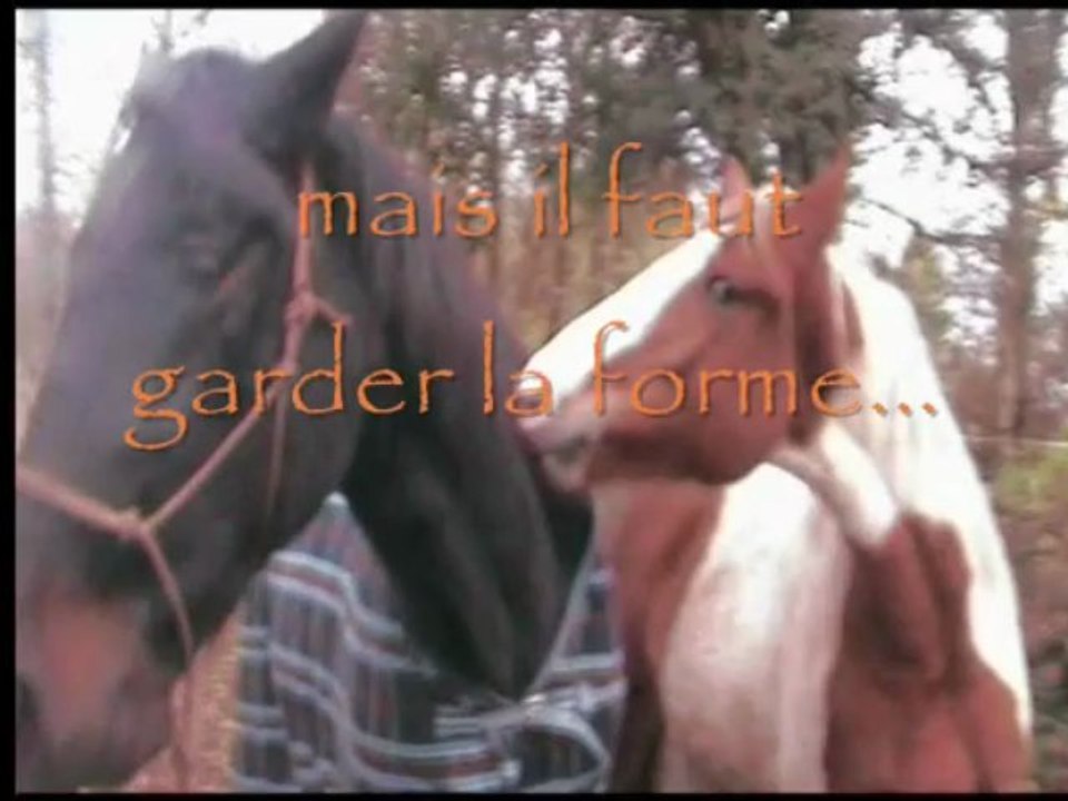 omega: le retour (et la reprise du taf à la maison)