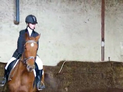 concours dressage ecurie d escazalou