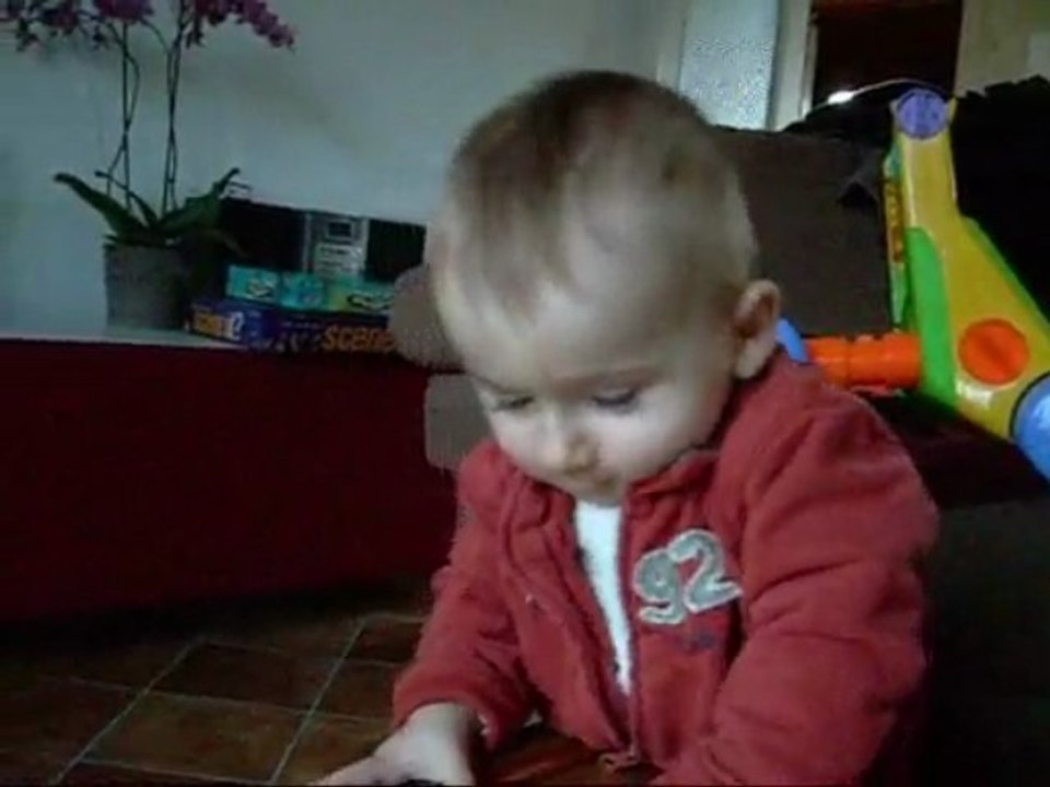 A quatre pattes