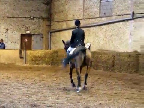 concours dressage ecurie d escazalou