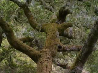 Voyage En Cybernétique (Das Netz (La Toile) 4de6