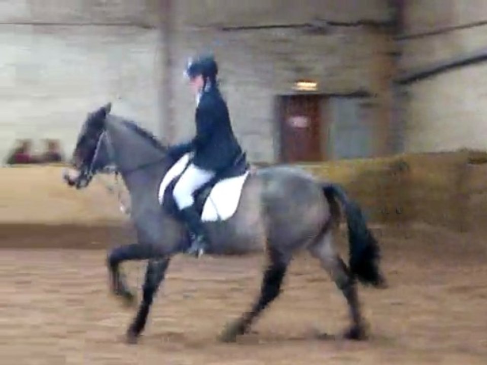 concours dressage ecurie d escazalou