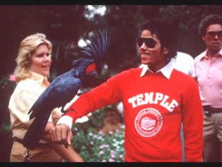 Hollywood MK Deception 16 Perception Control