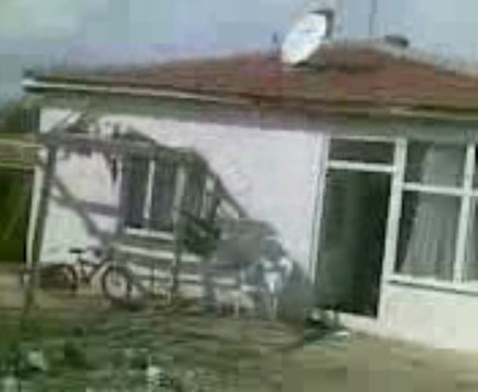 Aksaray ORTAKÖY den Halil in oyun kuşları