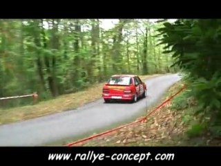 RALLYE DU THORE 2009 CREMADES/TONON 309 GTI F2000/14