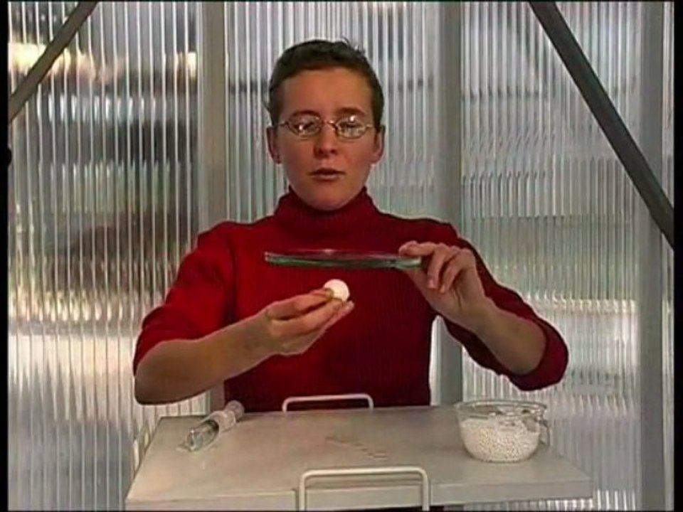 GrainsDeBatisseurs__CohesionCapillaireEntreLesGrains
