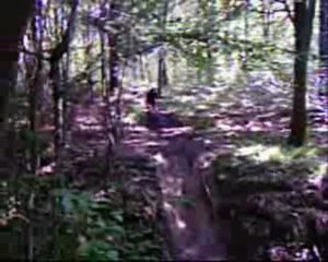 Montage anciennes vidéos
