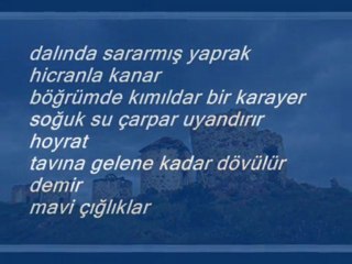 Mavi Çığlıklar - Nil Alaz