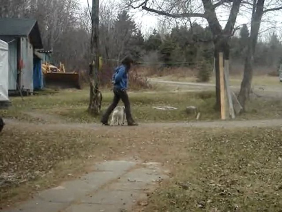 prunelle freestyle 15 novembre 2009