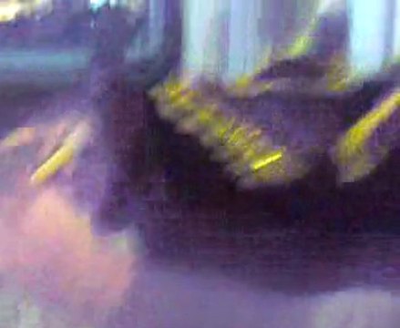 uğur yazıcı Biga da Tulum (Hemsinli Habib2