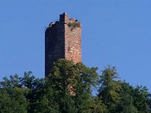 Parc naturel régional Vosges du Nord en 1 minute