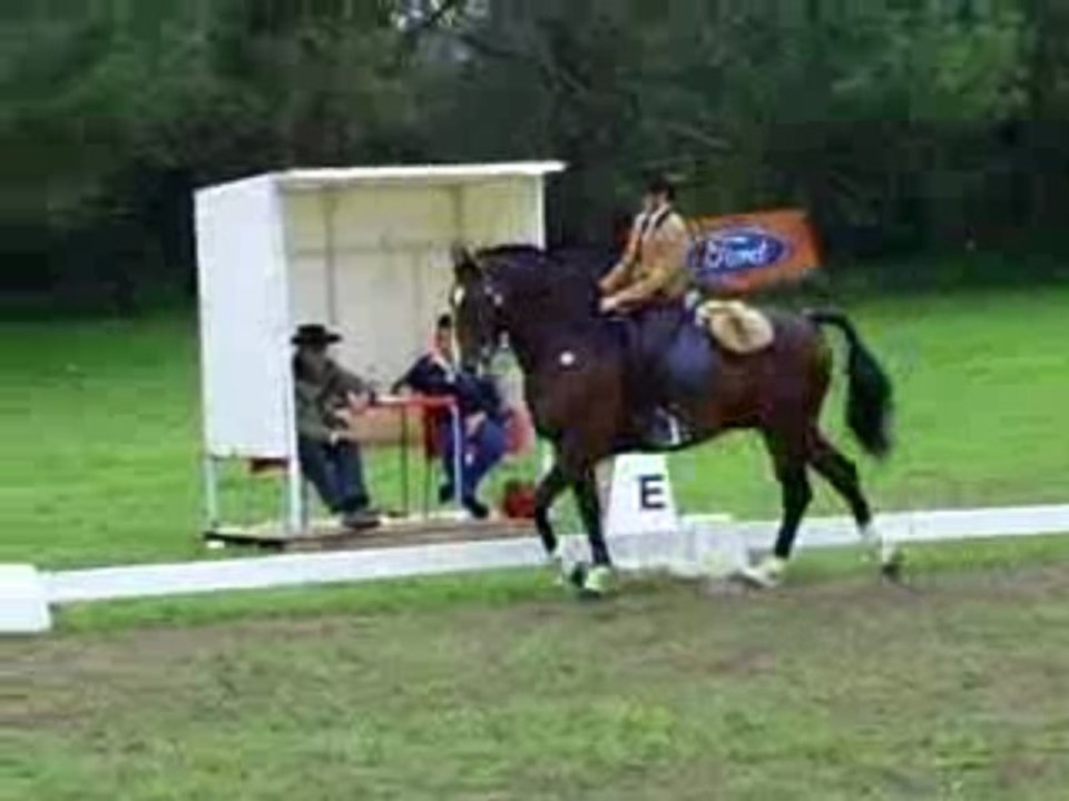 Golegã 2009 - Equitaçao Portuguesa (5)