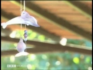 BBC World News - Middle East Business Report (Seferihisar)