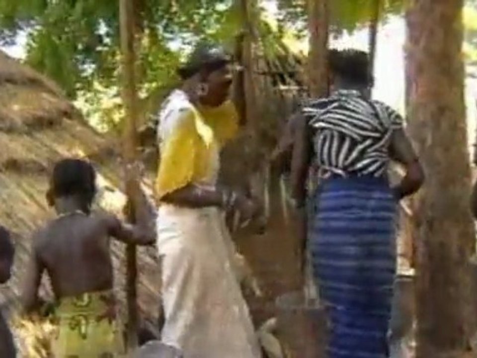 20 Ans du CIRAD, diaporama, extrait.