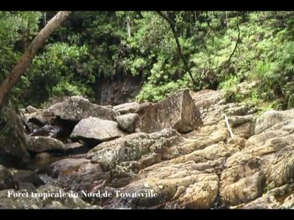 Queensland Australian road trip 2008