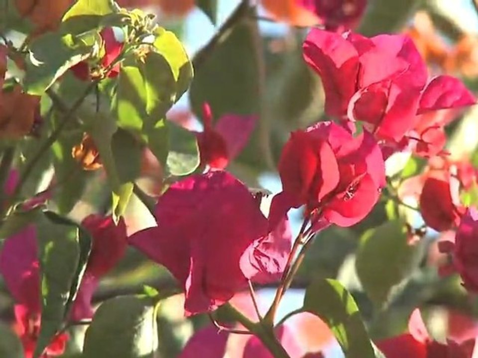 Présentation du Domaine de L'Ourika - Marrakech