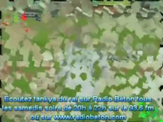 Allez les Verts_ Equipe Nationale_ Algérie vs Egypte