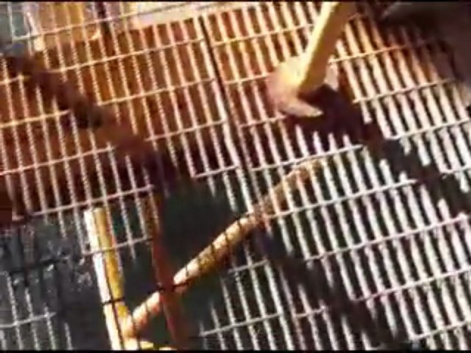 Helicopter Lessons - Helicopter Flight To Chevron Offshore