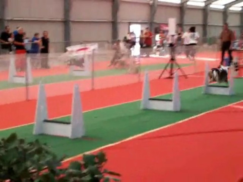 vidéoflyballavignon1_0003